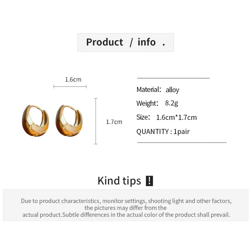 Metallic Style Hoop Earrings For Women